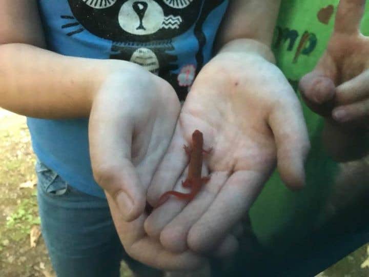 Camper-submitted photo at Greenwood County Park near Killawog, NY