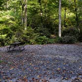 Review photo of Indian Creek Campground by Myron C., October 1, 2021