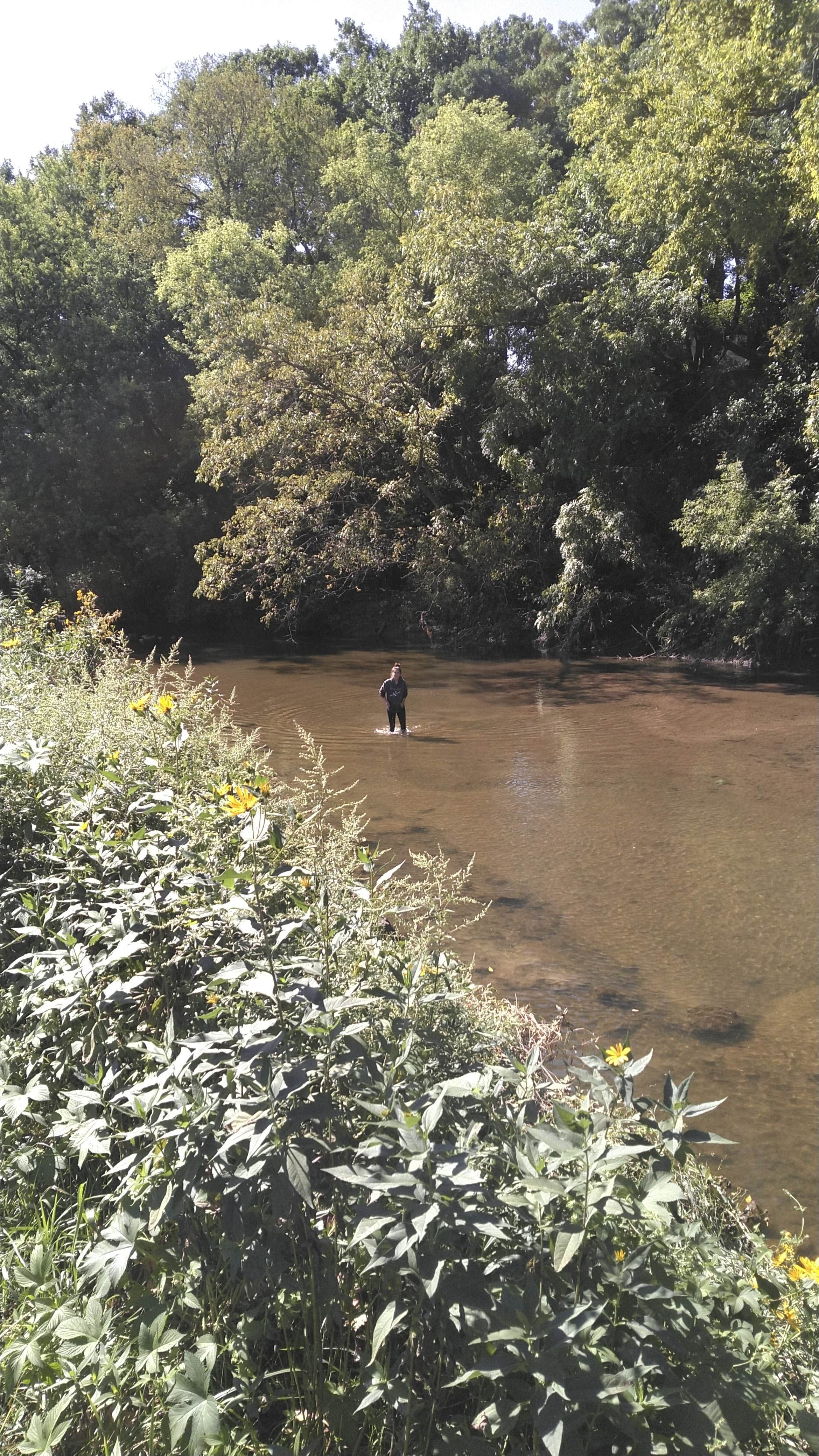 Camper-submitted photo at Ferry Landing - Mississippi River near Stockport, IA