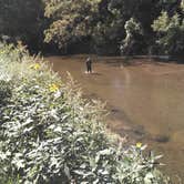 Review photo of Ferry Landing - Mississippi River by James M., October 1, 2021