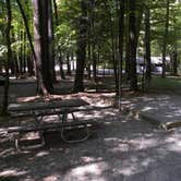 Review photo of Cataloochee Campground — Great Smoky Mountains National Park by Myron C., October 1, 2021