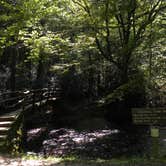 Review photo of Cataloochee Campground — Great Smoky Mountains National Park by Myron C., October 1, 2021