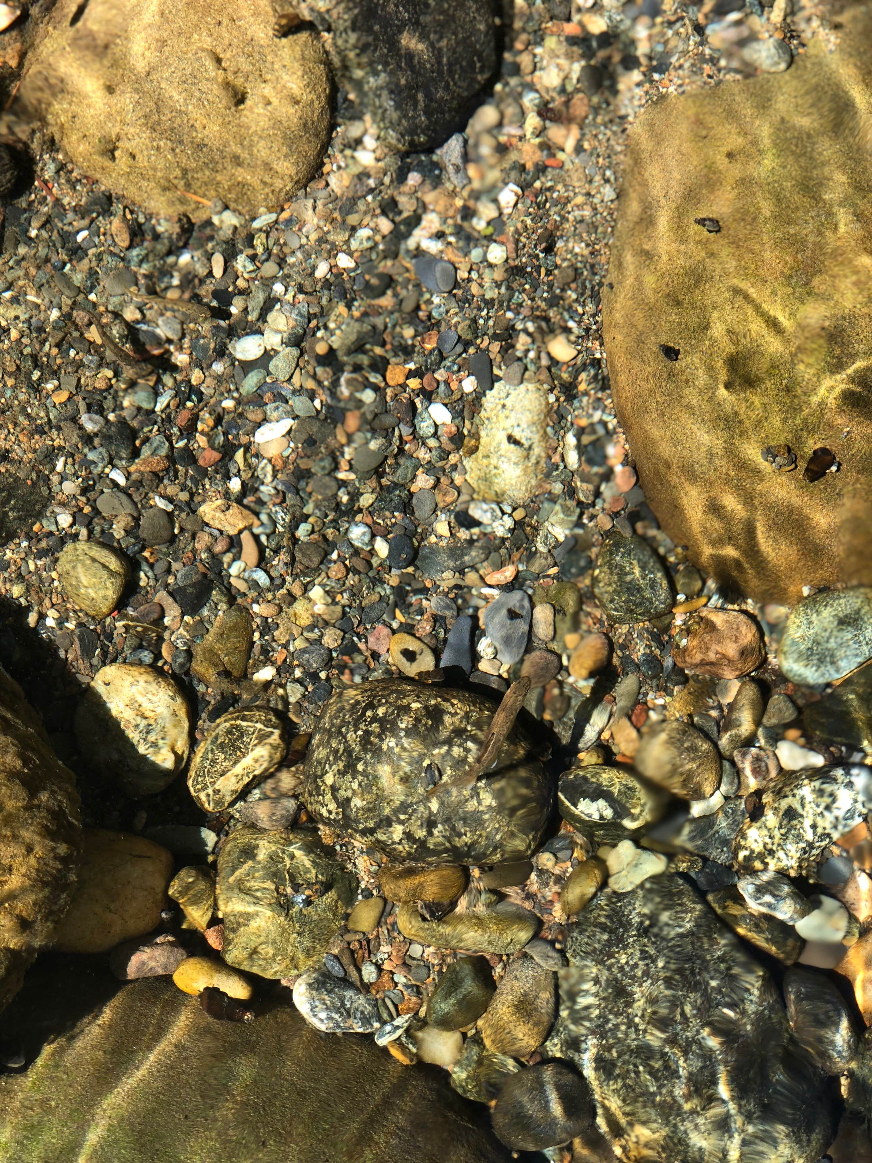 Camper-submitted photo at Daphne Grove near Camas Valley, OR