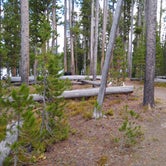 Review photo of 4D3 - Ice Lake South — Yellowstone National Park by Dexter I., October 1, 2021