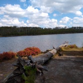 Review photo of 4D3 - Ice Lake South — Yellowstone National Park by Dexter I., October 1, 2021