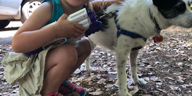 Camper submitted image from Daphne Grove