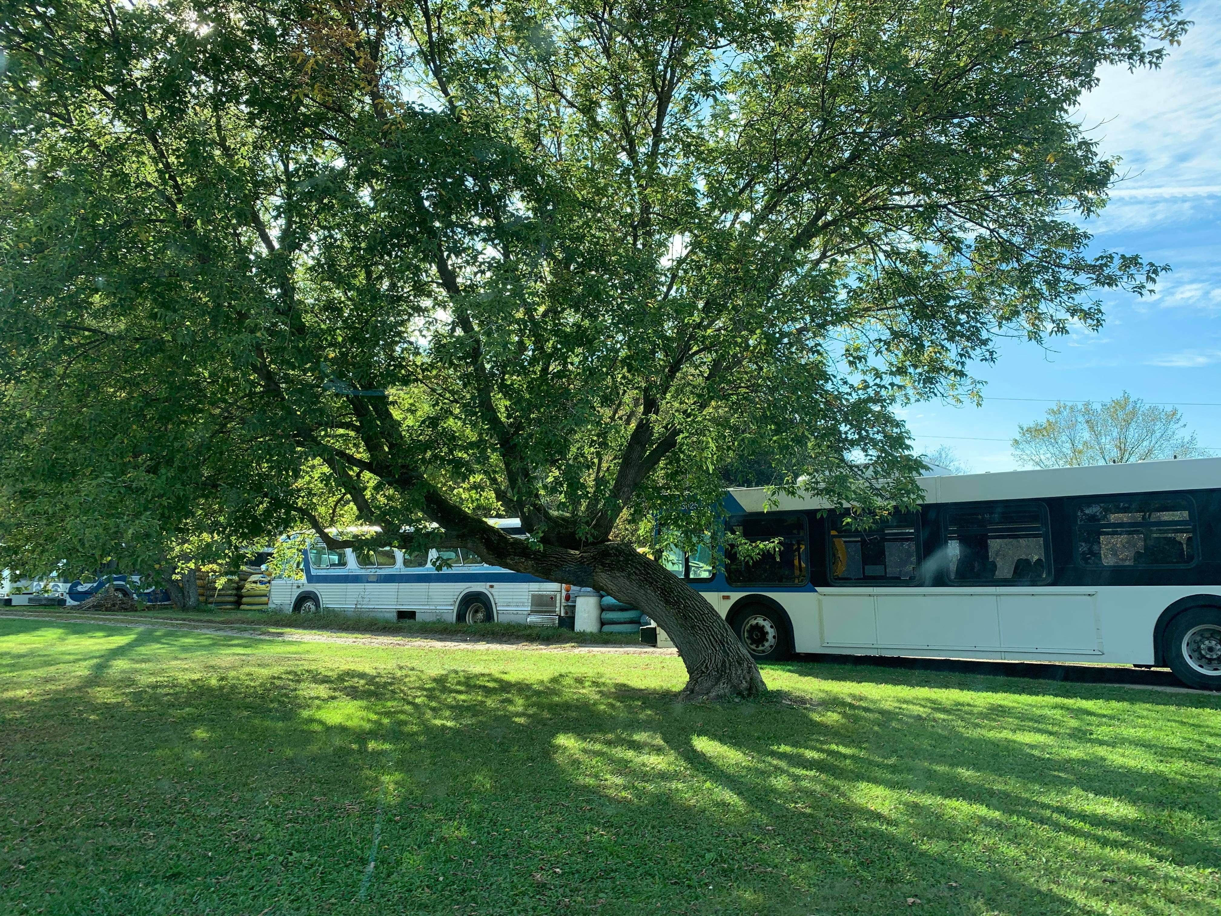 Camper submitted image from Peshtigo River Campground - 2