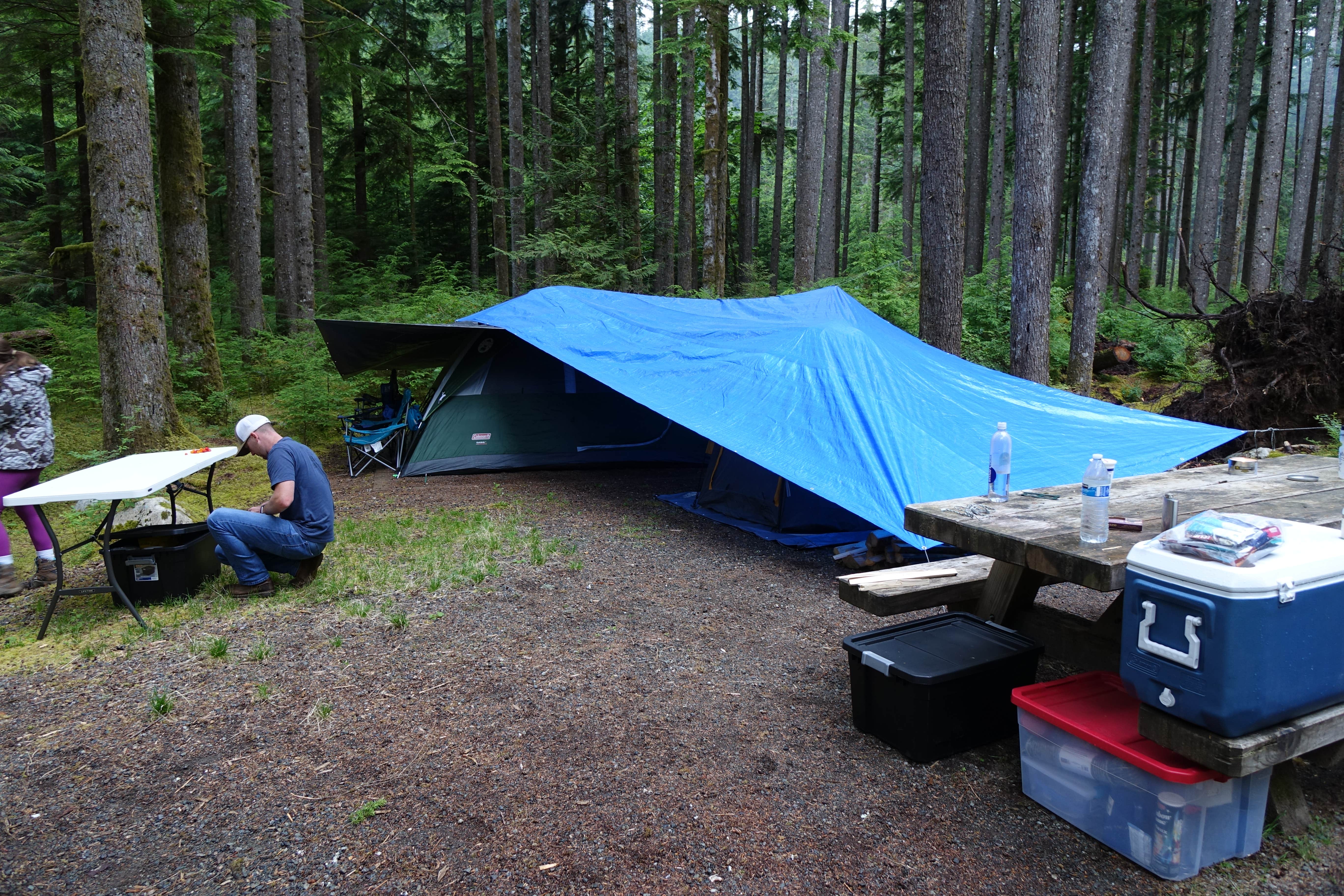 Dan P.'s photo at Middle Fork Campground near Preston, WA