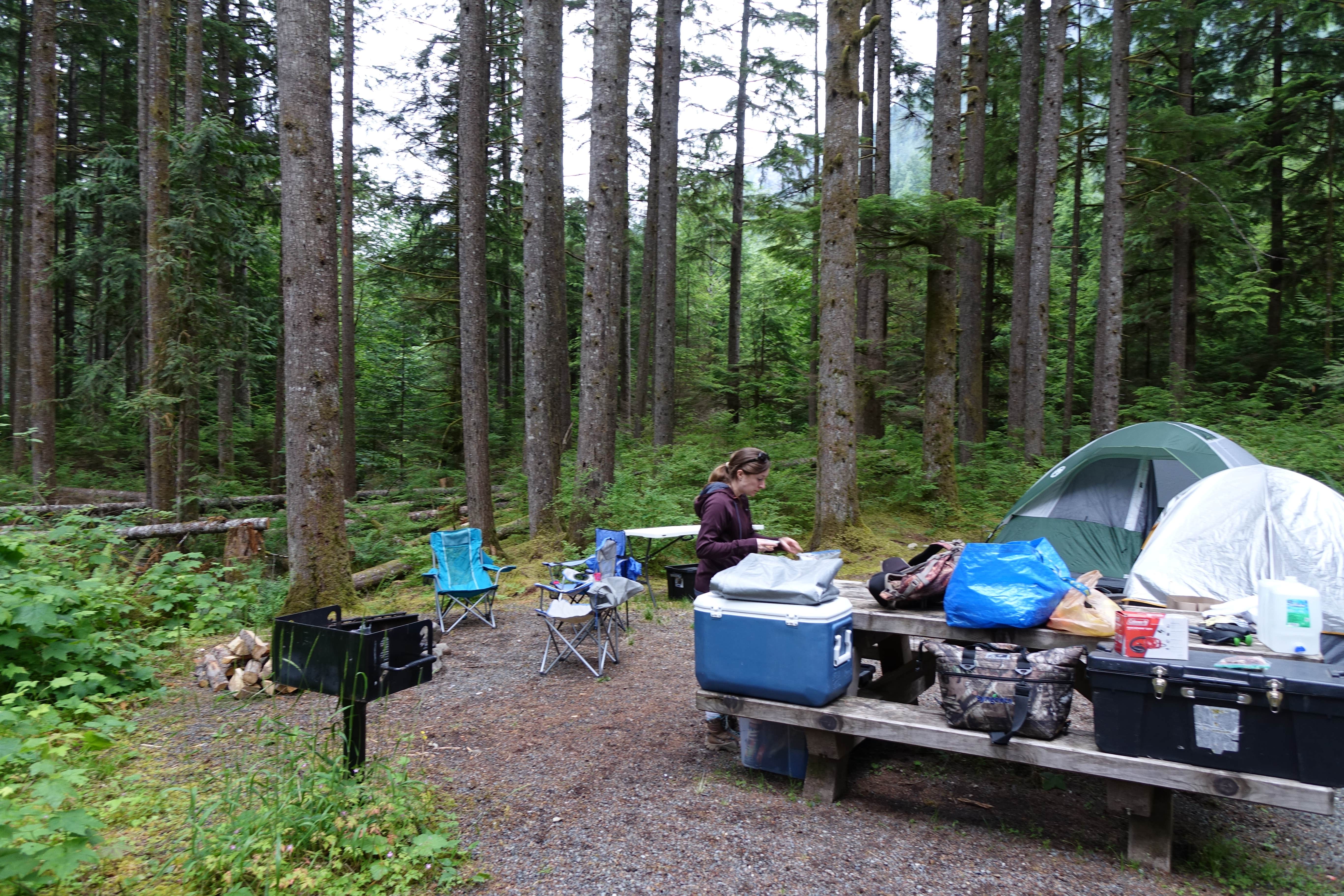 Middle Fork Campground The Dyrt