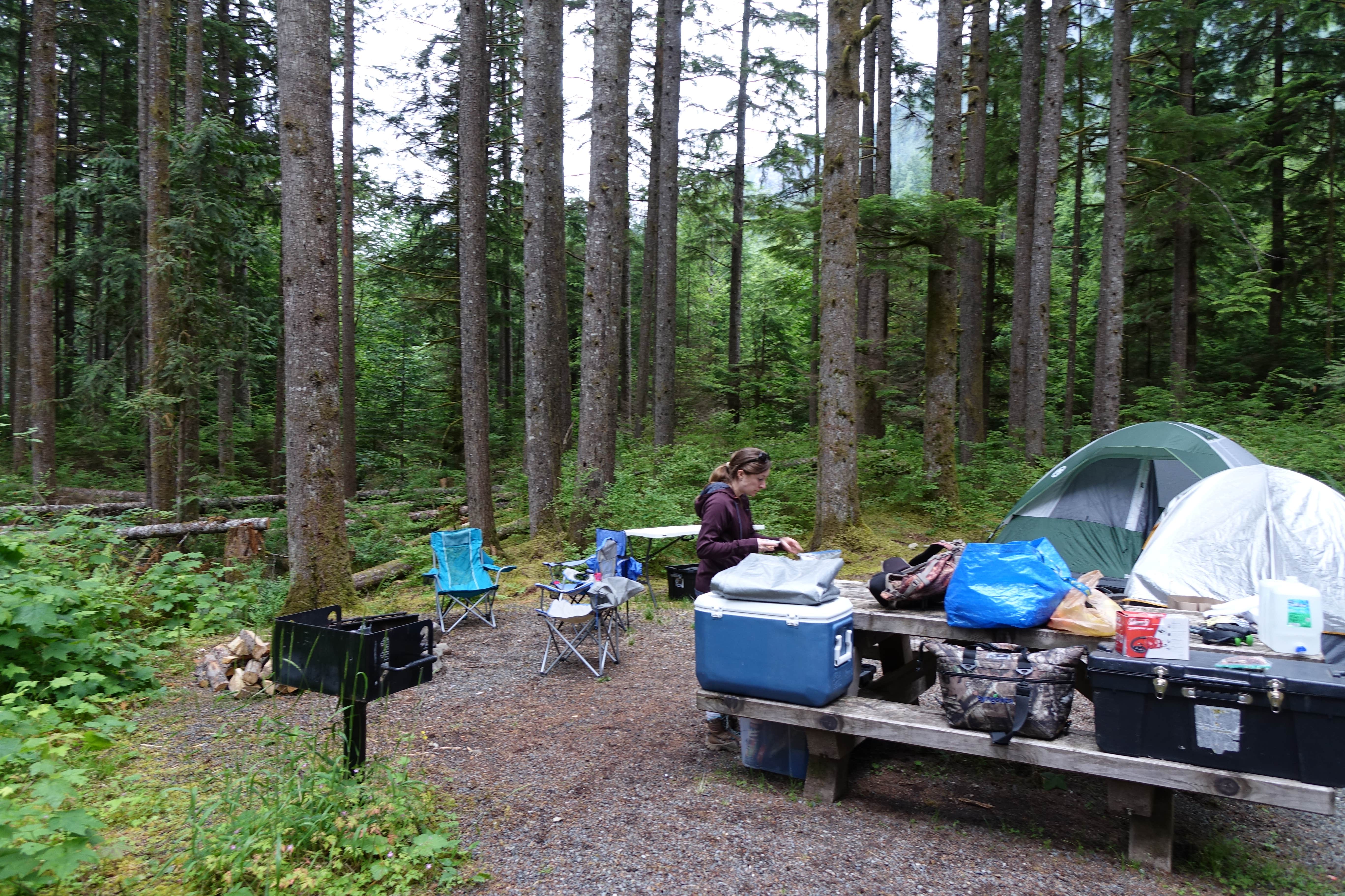 Camper submitted image from Middle Fork Campground - 2