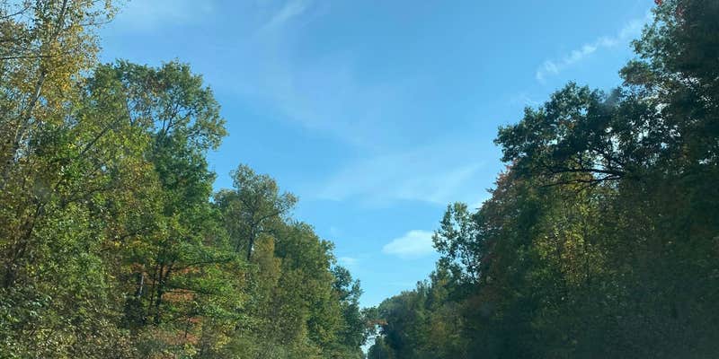 Camper submitted image from Green's Green Acres Campground