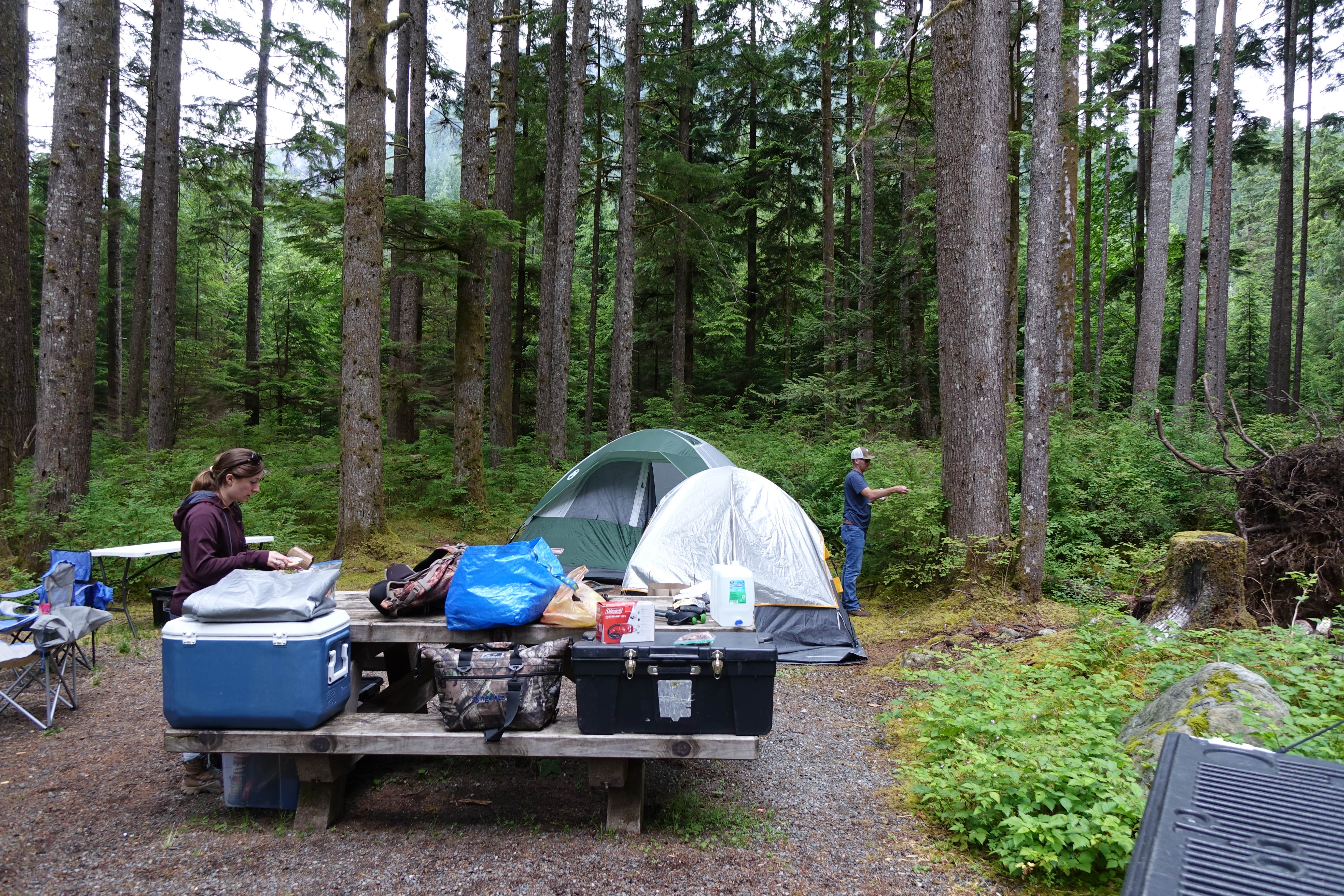 Camper submitted image from Middle Fork Campground - 3