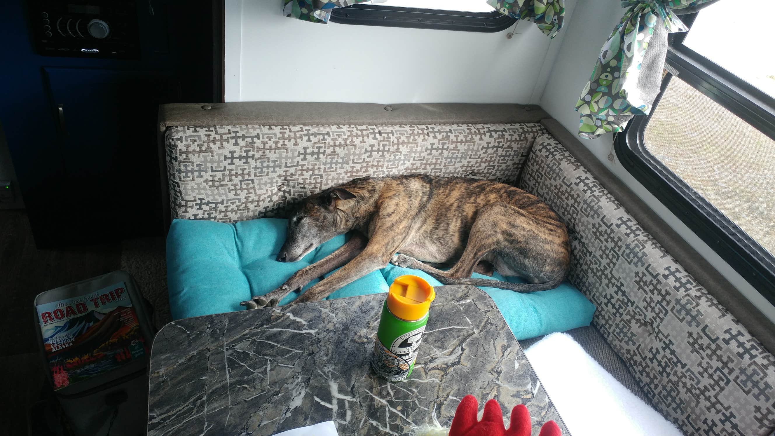 Camper-submitted photo at Dry Creek State Rec Area near Gakona, AK