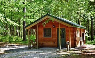 Myron C.'s photo of a cabin at Cliffs of the Neuse State Park Campground near Richlands, NC
