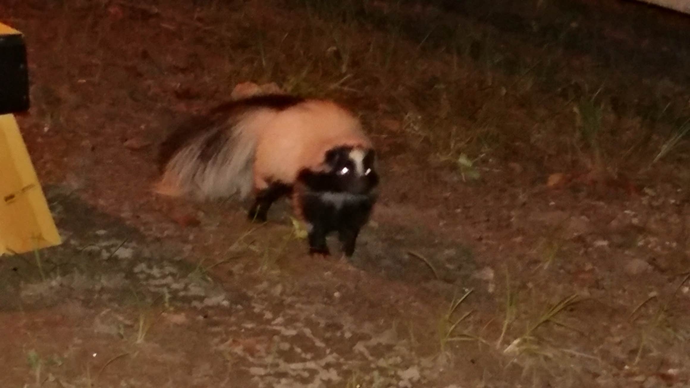 Camper-submitted photo at Garrison Canoe Rental and Campground near Owensville, MO