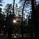 Review photo of Barton Flats Family Campground by TheWolfman  Z., July 2, 2018