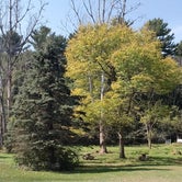Review photo of Twin Springs Resort Campground by David K., October 1, 2021