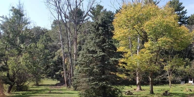 Camper submitted image from Twin Springs Resort Campground