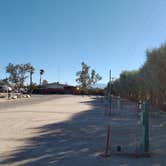 Review photo of Palm Springs-Joshua Tree KOA by Ben V., October 1, 2021