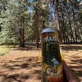 Review photo of Upper Pines Campground — Yosemite National Park by Jose M., October 1, 2021