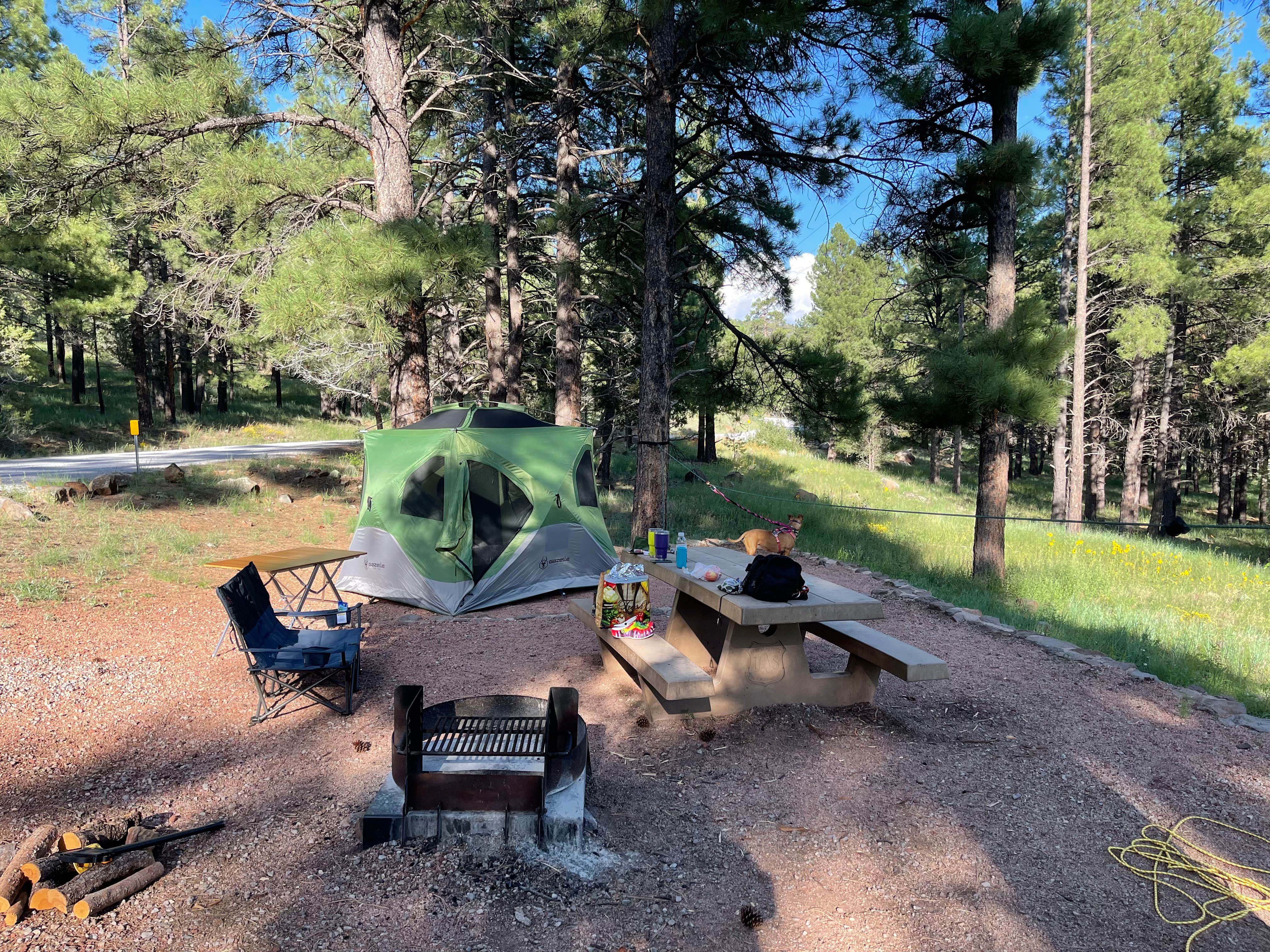 Whitney C.'s photo at Lakeview Campground (Az) — Coconino National Forest Recreation near Mormon Lake, AZ