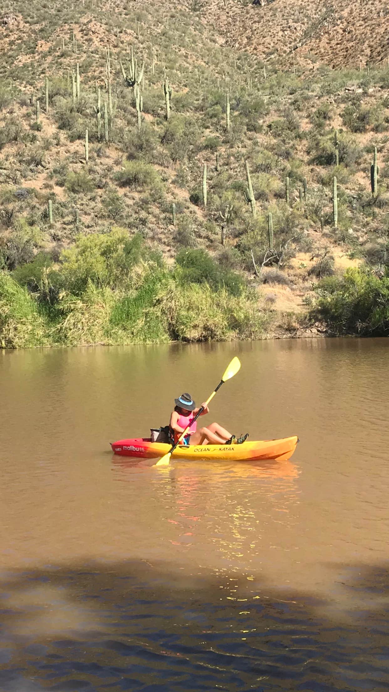 Camper submitted image from Tonto National Forest Riverside Campground - 4