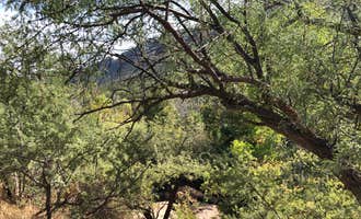 Camping near Phantom Ranch — Grand Canyon National Park: Clear Creek Area Dispersed — Grand Canyon National Park, Grand Canyon, Arizona