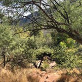 Review photo of Clear Creek Area Dispersed — Grand Canyon National Park by Jessica G., October 1, 2021