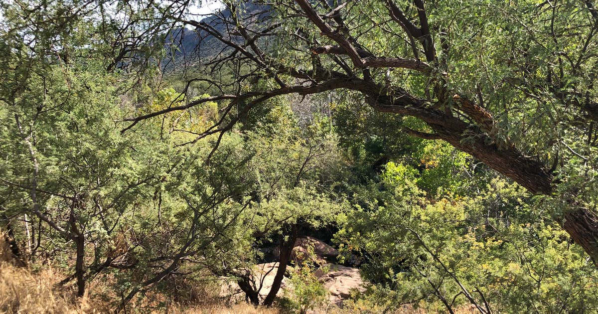 Clear Creek Area Dispersed — Grand Canyon National Park