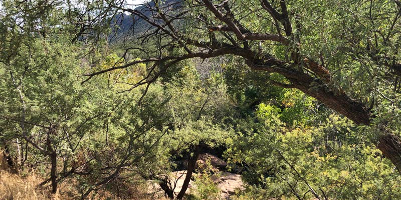 Camper submitted image from Clear Creek Area Dispersed — Grand Canyon National Park