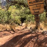 Review photo of Clear Creek Area Dispersed — Grand Canyon National Park by Jessica G., October 1, 2021