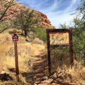 Review photo of Clear Creek Area Dispersed — Grand Canyon National Park by Jessica G., October 1, 2021