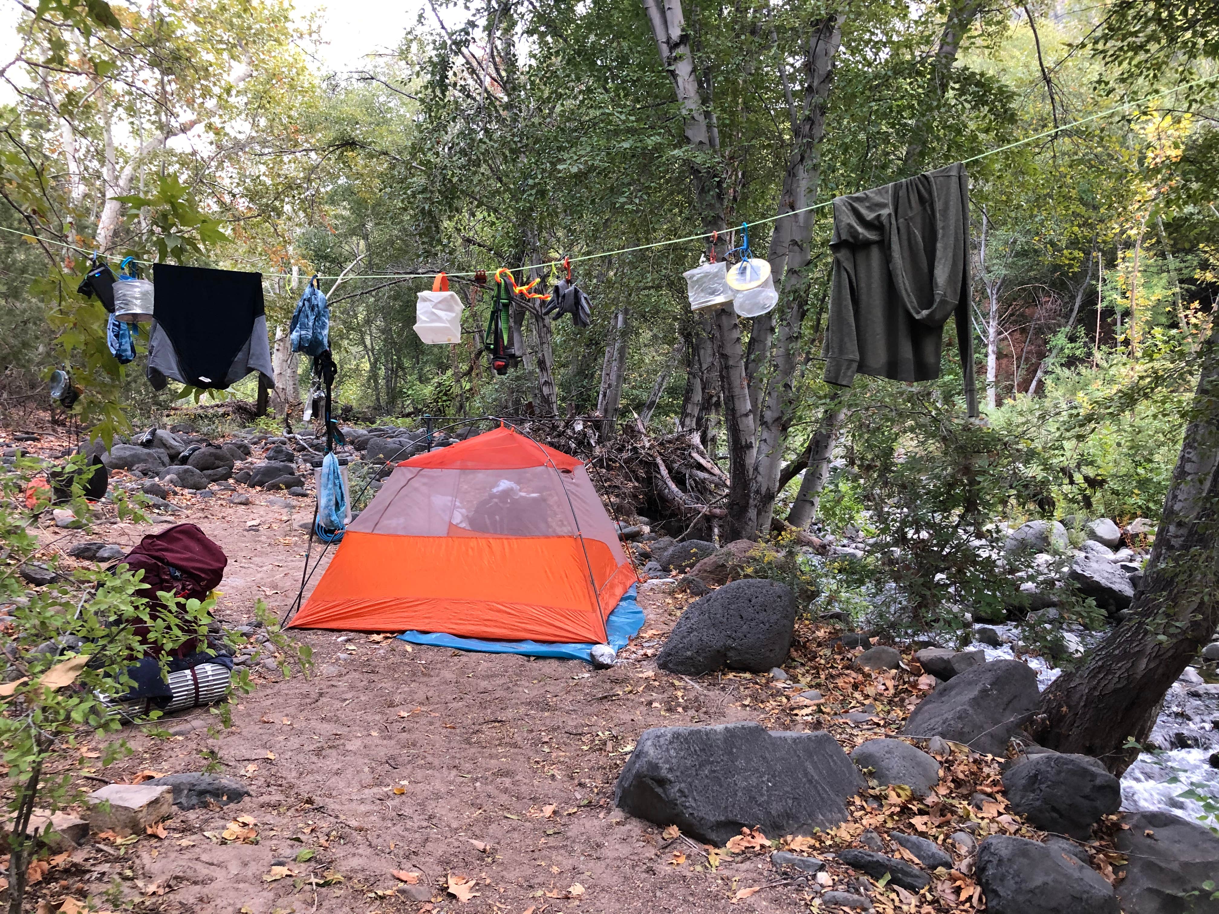 Jessica G.'s photo of a dispersed camping area at Clear Creek Area Dispersed — Grand Canyon National Park near Tuba City, AZ
