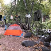 Review photo of Clear Creek Area Dispersed — Grand Canyon National Park by Jessica G., October 1, 2021