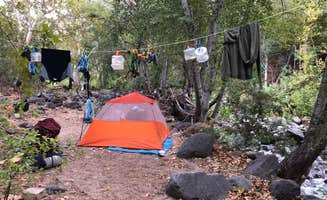 Jessica G.'s photo of a dispersed camping area at Clear Creek Area Dispersed — Grand Canyon National Park near Tuba City, AZ