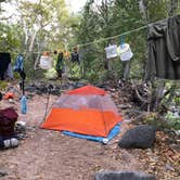 Review photo of Clear Creek Area Dispersed — Grand Canyon National Park by Jessica G., October 1, 2021