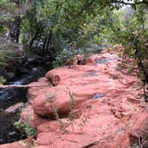 Review photo of Clear Creek Area Dispersed — Grand Canyon National Park by Jessica G., October 1, 2021