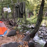 Review photo of Clear Creek Area Dispersed — Grand Canyon National Park by Jessica G., October 1, 2021