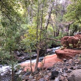 Review photo of Clear Creek Area Dispersed — Grand Canyon National Park by Jessica G., October 1, 2021