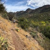 Review photo of Clear Creek Area Dispersed — Grand Canyon National Park by Jessica G., October 1, 2021