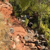 Review photo of Clear Creek Area Dispersed — Grand Canyon National Park by Jessica G., October 1, 2021
