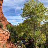 Review photo of Clear Creek Area Dispersed — Grand Canyon National Park by Jessica G., October 1, 2021