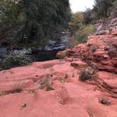 Review photo of Clear Creek Area Dispersed — Grand Canyon National Park by Jessica G., October 1, 2021