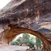 Review photo of Devils Garden Campground — Arches National Park by Adam B., October 1, 2021