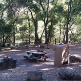 Review photo of Uvas Canyon County Park by Mon M., July 2, 2018