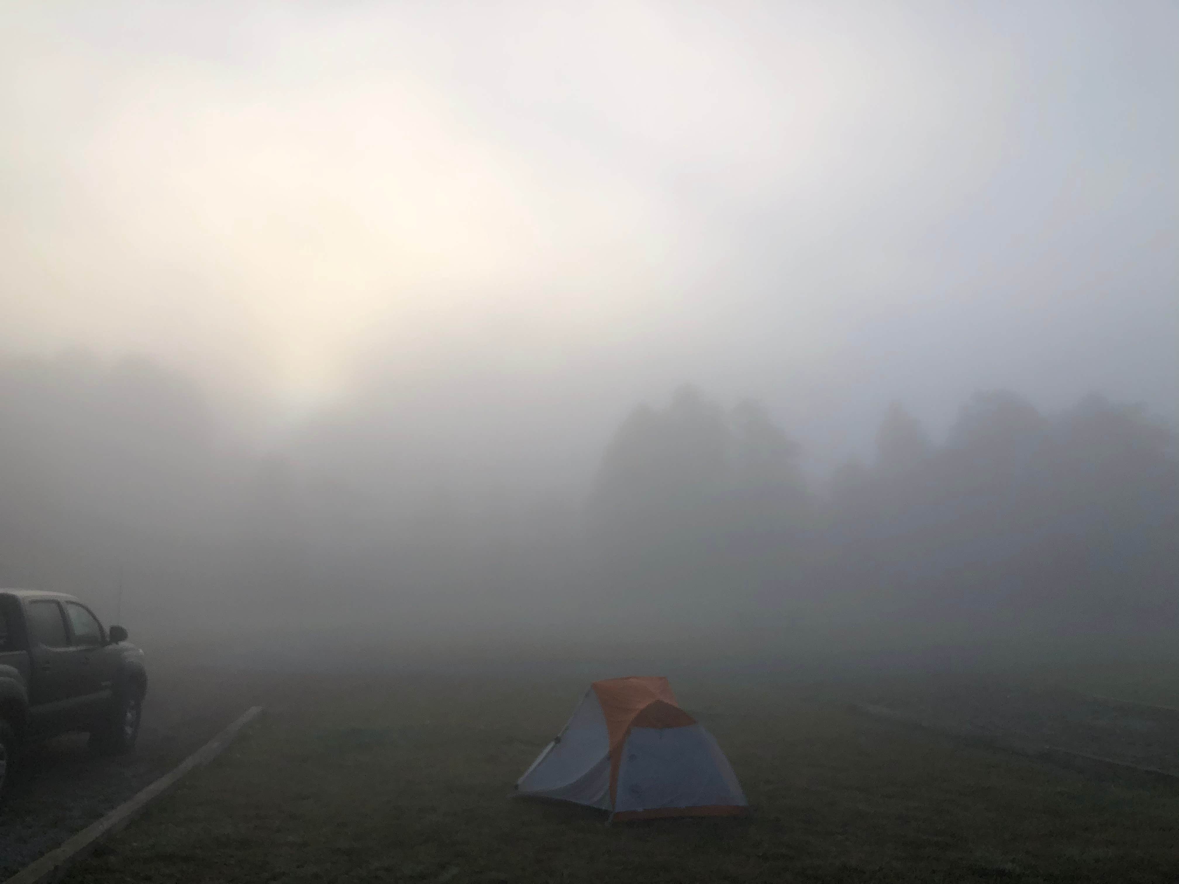 Camper submitted image from War Ridge - New River National Scenic River - 1