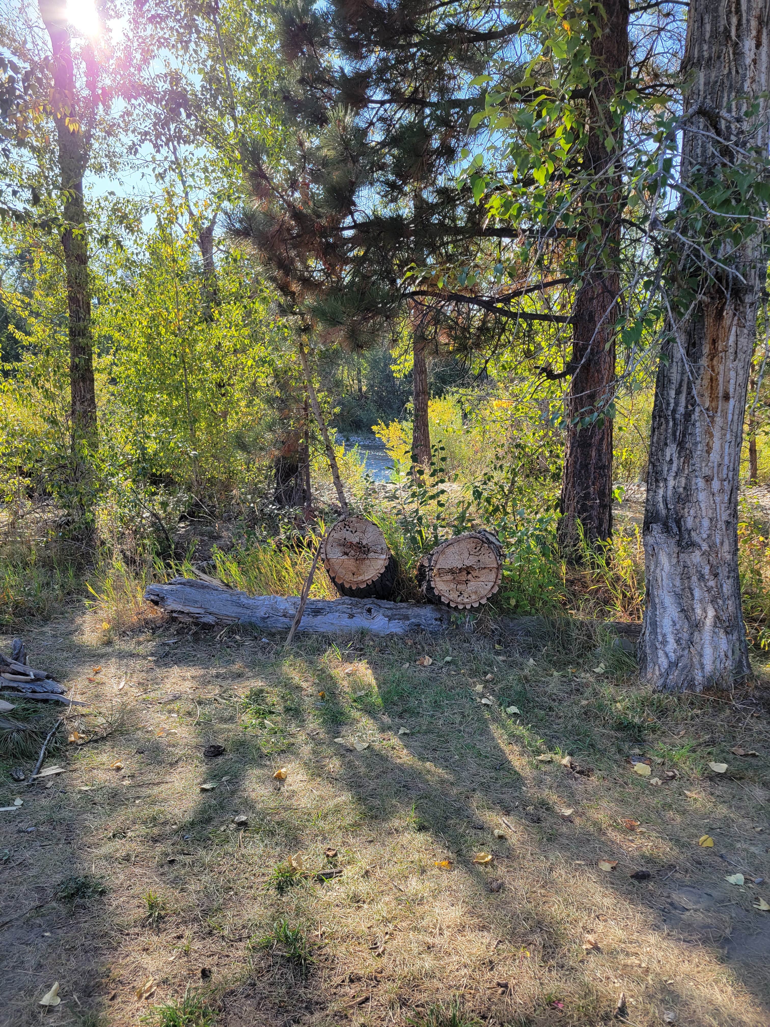 Camping near Old Barn Studios: Angler's Roost On the Bitterroot River, Hamilton, Montana
