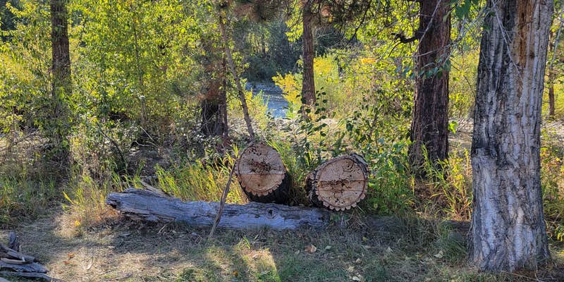 Camper submitted image from Angler's Roost On the Bitterroot River