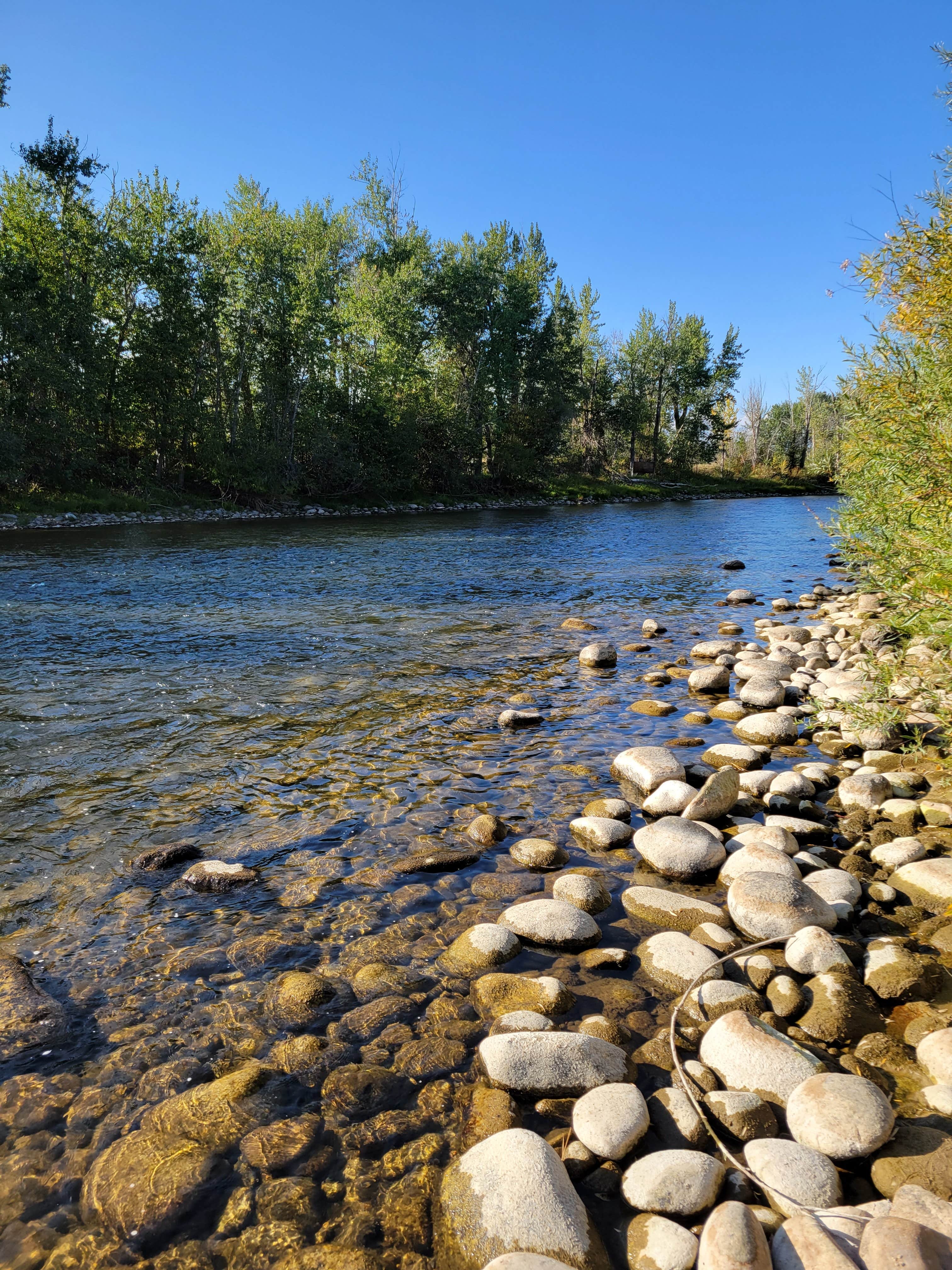 Camper-submitted photo at Angler's Roost On the Bitterroot River near Darby, MT