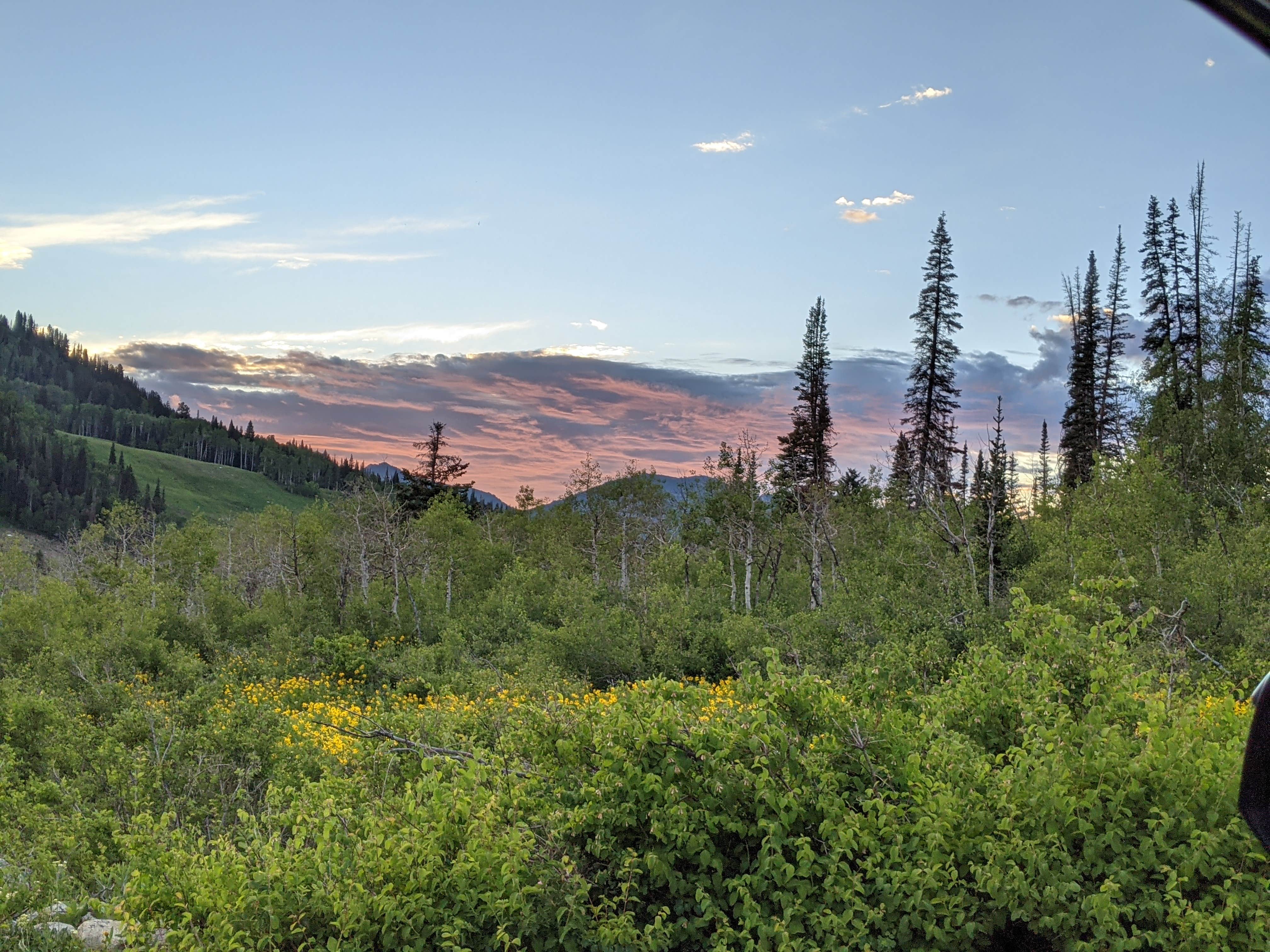 Camper-submitted photo at Spruces - Big Cottonwood near Bingham Canyon, UT